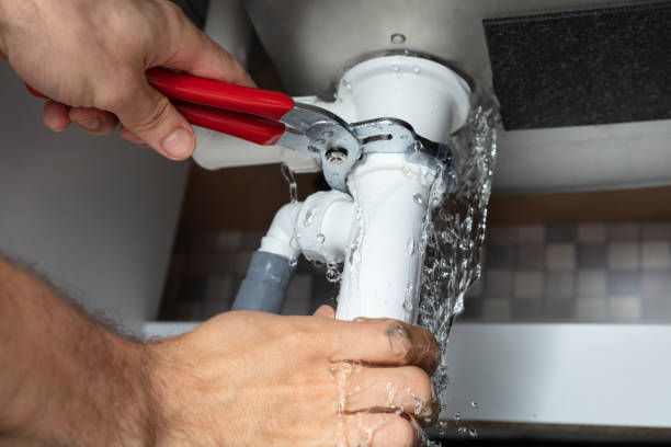 Best Flood damage cleanup  in Elon, NC