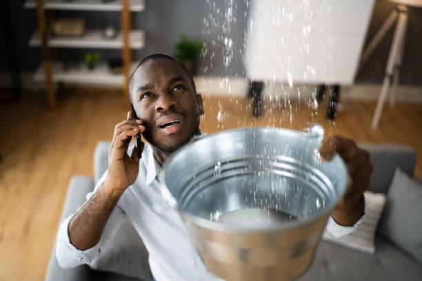 Best Residential water damage restoration  in Elon, NC