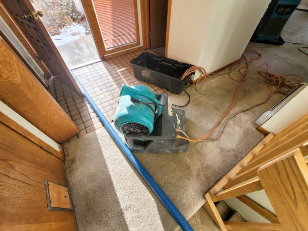 Best Water damage restoration near me  in Elon, NC