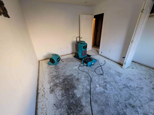 Best Basement water damage restoration  in Elon, NC