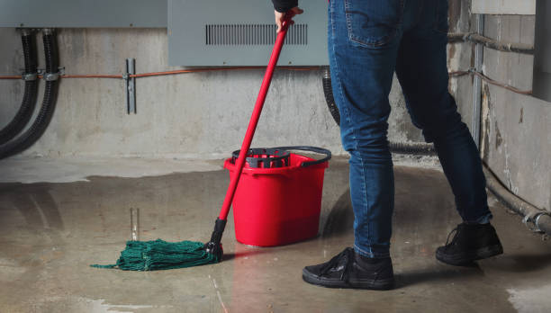 Best Local water damage restoration  in Elon, NC