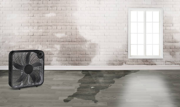 Best Fire Damage Restoration  in Elon, NC