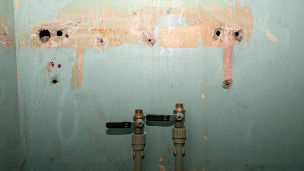 Reliable NC Water damage restoration Solutions