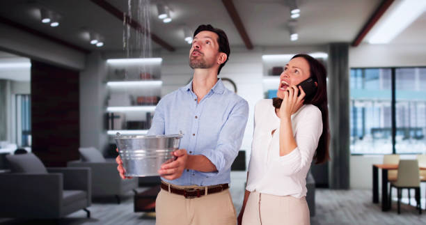 Best Carpet water damage restoration  in Elon, NC